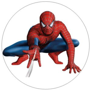 Spiderman taartprint circa 20 cm